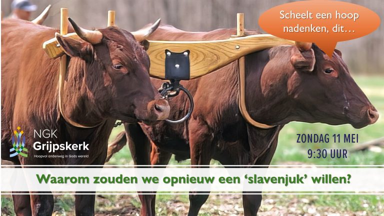 Zondag 11 mei 9:30 uur